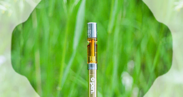 no disposable vape Breeze Pro 0% Nicotine Disposable Vape – The Vapor Shoppe
