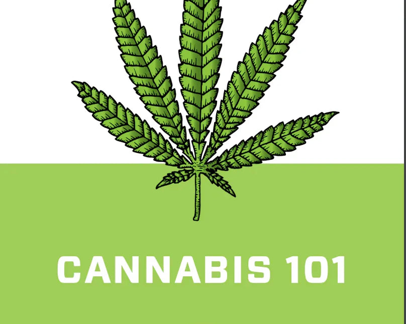 Cannabis 101 - O.pen