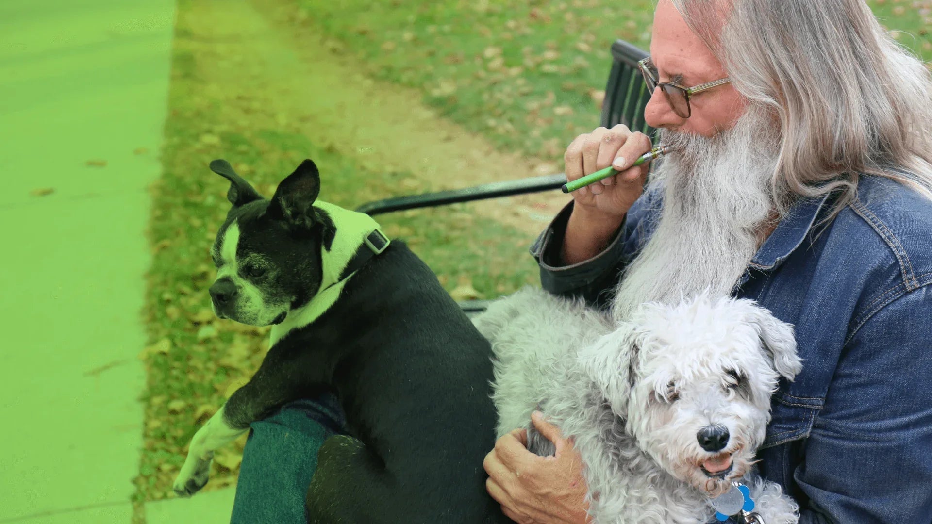 How to Use a Vape Pen: The Ultimate Beginner's Guide - O.pen