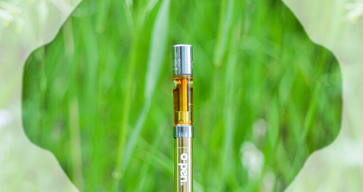 Indica vs Sativa vs Hybrid: What You Need to Know - O.pen
