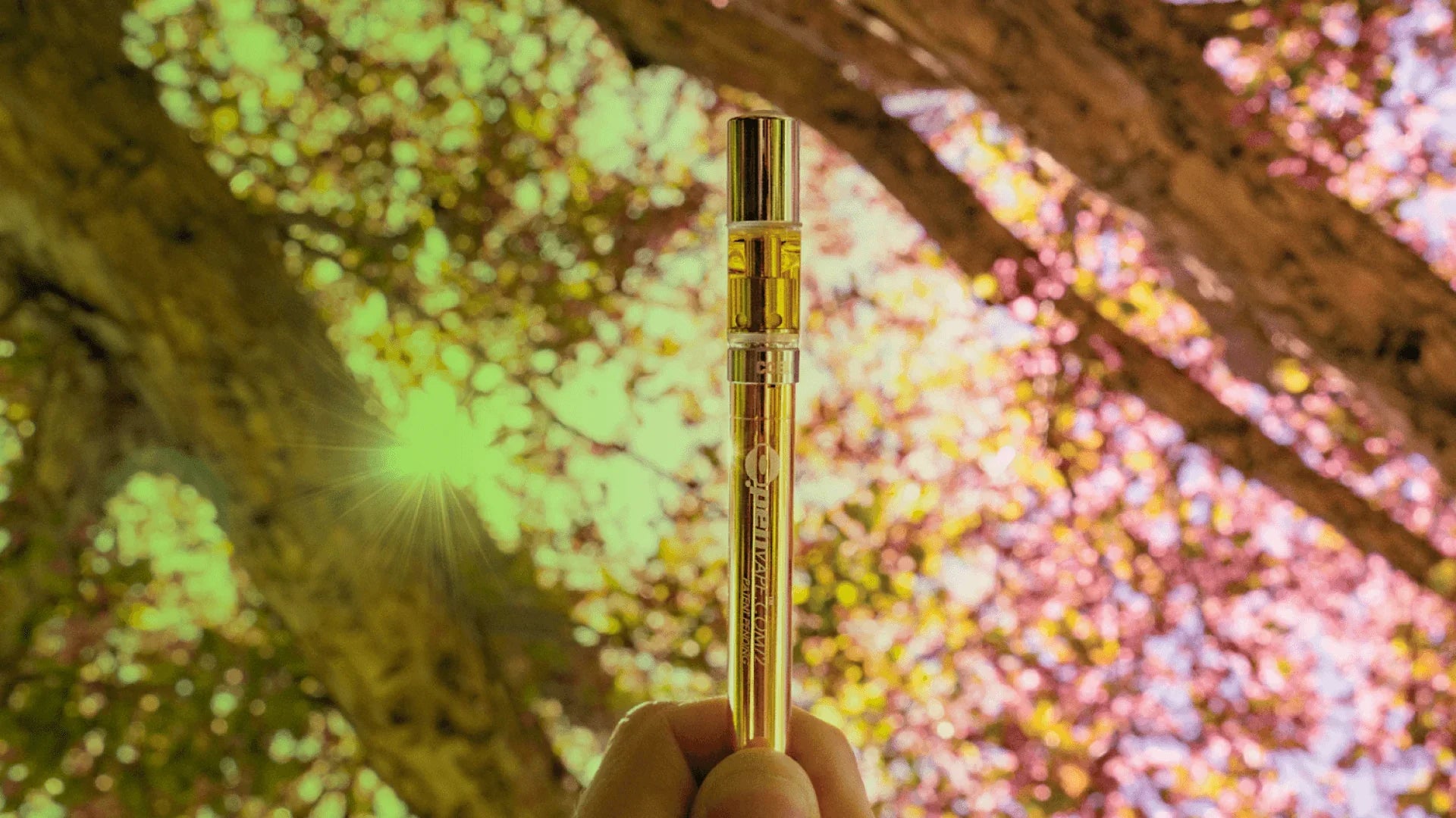Vaping for beginners: What You Need to Know - O.pen